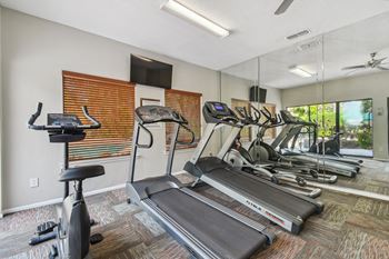 the gym has plenty of cardio equipment and a large mirror